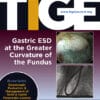 Techniques and Innovations in Gastrointestinal Endoscopy PDF