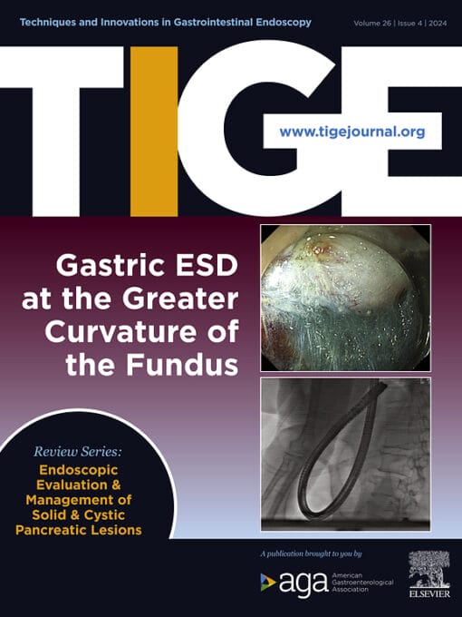 Techniques and Innovations in Gastrointestinal Endoscopy PDF