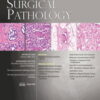 American Journal of Surgical Pathology: Volume 46 (1 - 12) 2022 PDF