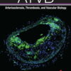 Arteriosclerosis, Thrombosis & Vascular Biology: Volume 42 (1 - 12) 2022 PDF