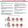 Circulation: Arrhythmia and Electrophysiology: Volume 15 (1 - 12) 2022 PDF