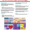 Circulation: Arrhythmia and Electrophysiology: Volume 15 (1 - 12) 2022 PDF