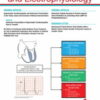 Circulation: Arrhythmia and Electrophysiology: Volume 16 (1 - 12) 2023 PDF