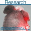 Circulation Research: Volume 130 (1 - 12) 2022 PDF