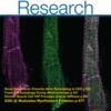 Circulation Research: Volume 130 (1 - 12) 2022 PDF