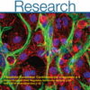 Circulation Research: Volume 131 (1 - 12) 2022 PDF