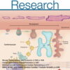 Circulation Research: Volume 133 (1 - 12) 2023 PDF