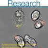 Circulation Research: Volume 133 (1 - 12) 2023 PDF