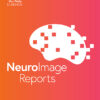 Neuroimage: Reports PDF