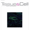 Tissue and Cell PDF