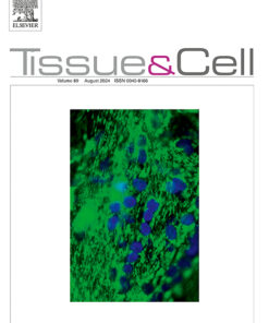 Tissue and Cell PDF