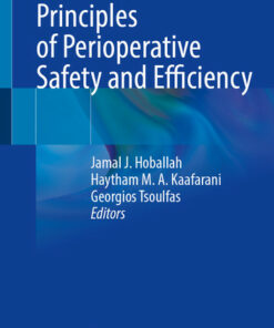 Principles of Perioperative Safety and Efficiencyi