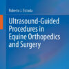 Ultrasound-Guided Procedures in Equine Orthopedics and Surgery