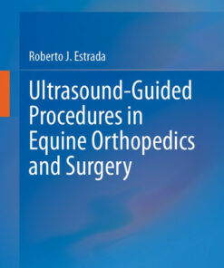 Ultrasound-Guided Procedures in Equine Orthopedics and Surgery