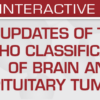 Updates of the WHO Classification of Brain and Pituitary Tumors 2024