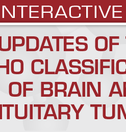 Updates of the WHO Classification of Brain and Pituitary Tumors 2024