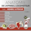 Anatomie De L’appareil Locomoteur – Tome 2. Membre Supérieur, 5th Edition (French Edition) (PDF)