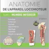 Anatomie De L’appareil Locomoteur – Tome 1. Membre Inférieur, 5th Edition (French Edition) (PDF)