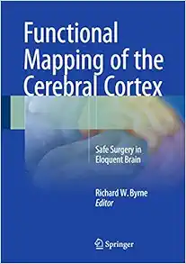 Functional Mapping Of The Cerebral Cortex: Safe Surgery In Eloquent Brain (EPUB)