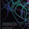 Thalamocortical Assemblies: Sleep Spindles, Slow Waves And Epileptic Discharges (Monographs Of The Physiological Society), 2nd Edition (PDF)