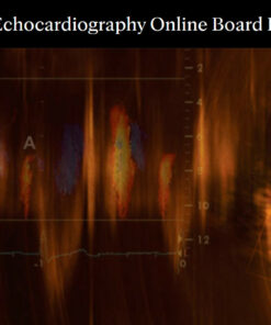 Mayo-Echocardiography Online Board Review 2024