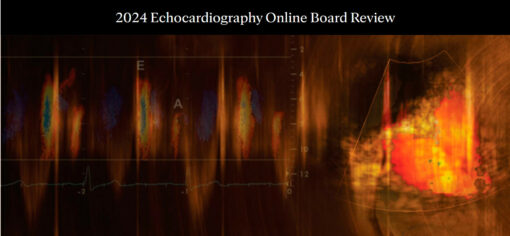 Mayo-Echocardiography Online Board Review 2024