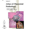 Atlases of Tumor and Non-Tumor Pathology, Series 5