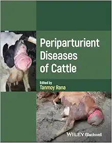 Periparturient Diseases Of Cattle (PDF)