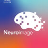 NeuroImage PDF