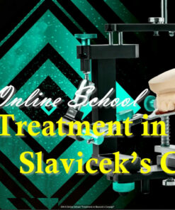 Online school “Treatment in Slavicek’s concept”