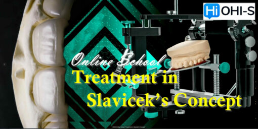 Online school “Treatment in Slavicek’s concept”