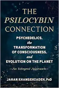 The Psilocybin Connection: Psychedelics, The Transformation Of Consciousness, And Evolution On The Planet– An Integral Approach (EPUB)