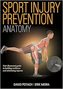 Sport Injury Prevention Anatomy (PDF)