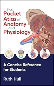 The Pocket Atlas Of Anatomy And Physiology (PDF)