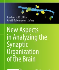 New Aspects in Analyzing the Synaptic Organization of the Brain