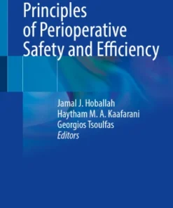 Principles of Perioperative Safety and Efficiency