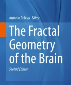 The Fractal Geometry of the Brain