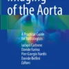 Imaging of the Aorta
A Practical Guide for Radiologists