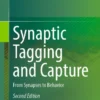 Synaptic Tagging and Capture
From Synapses to Behavior