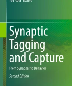 Synaptic Tagging and Capture
From Synapses to Behavior