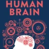 How to Build a Human Brain-