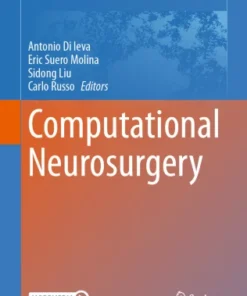 Computational Neurosurgery