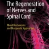 The Regeneration of Nerves and Spinal Cord
About Mechanisms and Therapeutic Approaches