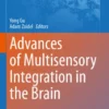 Advances of Multisensory Integration in the Brain