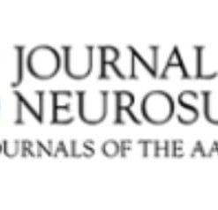 Journal Of Neurosurgery 2024 Archives (True PDF)