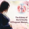 The Kidney Of The Critically Ill Pregnant Woman (PDF)