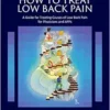 How To Treat Low Back Pain: A Guide For Treating Causes Of Low Back Pain For Physicians And APPs (PDF)