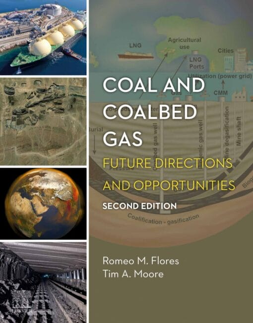 Coal and Coalbed Gas: Future Directions and Opportunities, 2nd Edition (EPUB)