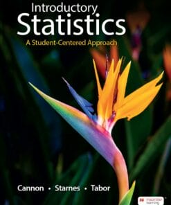 Introductory Statistics: A Student-Centered Approach (EPUB)