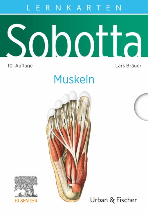 Sobotta Lernkarten Muskeln, 10th Edition (PDF)